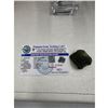 Image 7 : 10.1 GRAM Certified NATURAL GENUINE MOLDAVITE