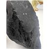 Image 6 : 3.78 BLACK ROUGH SHUNGHITE