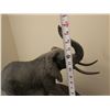 Image 10 : American Cast Bronze Sculpture Titled Elephant Limited Edition 90/850 by Tom Knapp on Marble Base 17