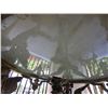 Image 14 : Baroque Revival Style Table w/ Sculptured Winged Figures Base & Floral Top 38" Dia, 33"H