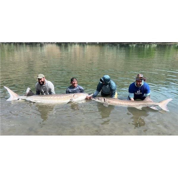 Idaho White Sturgeon Fishing for up to 4