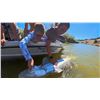 Image 5 : Idaho White Sturgeon Fishing for up to 4