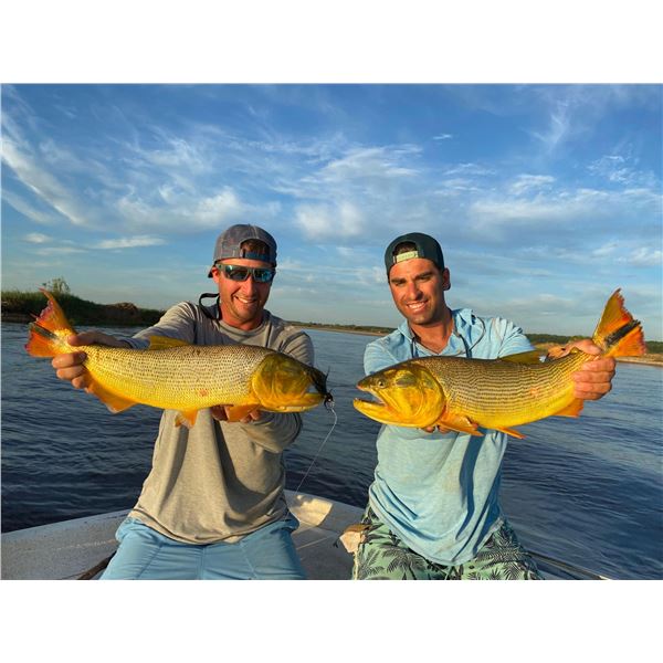 5 Day Accommodations For 2 Hunters, 1 Wildboar Trophy Fee Per Hunter & Golden Dorado Fishing