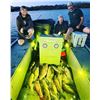 Image 4 : HiLo Bowfishing for 4 Anglers