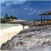 Image 3 : Abacos Bahamas Trip for up to 4 People
