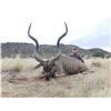 Image 2 : Cape Kudu for 2 Hunters - Vos & Co Safaris