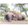 Image 3 : 10-day Cape Buffalo Bull Hunt for 1 Hunter - Ubathi Global Safaris