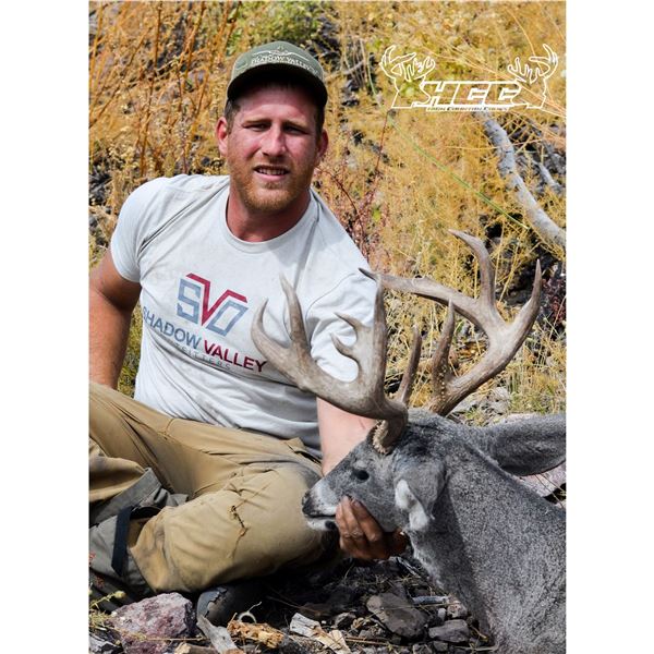 High Country Coues Deer Hunt