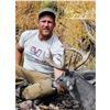 Image 1 : High Country Coues Deer Hunt