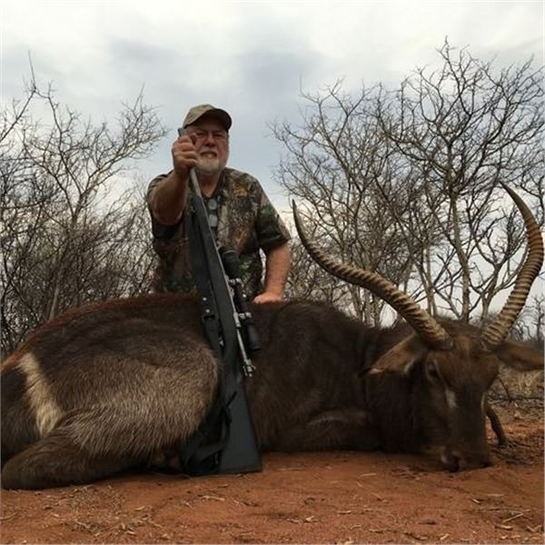 Nyala Hunt for 2 - Monkane Safaris