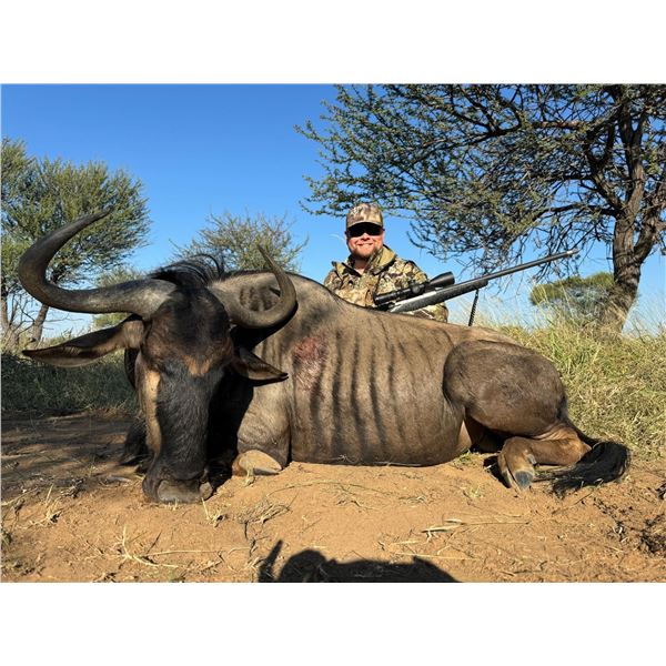 Hunt for 2 - Zebra or Wildebeest, Impala, Porcupine - Monkane Safaris