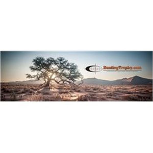 Coppersmith Trophy Clearance