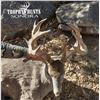 Image 1 : 7 day fully guided Sonoran Coues Hunt for 1 - Trophy Hunts of Sonora LLC