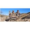 Image 2 : 7 day fully guided Sonoran Coues Hunt for 1 - Trophy Hunts of Sonora LLC