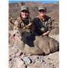 Image 6 : 7 day fully guided Sonoran Coues Hunt for 1 - Trophy Hunts of Sonora LLC