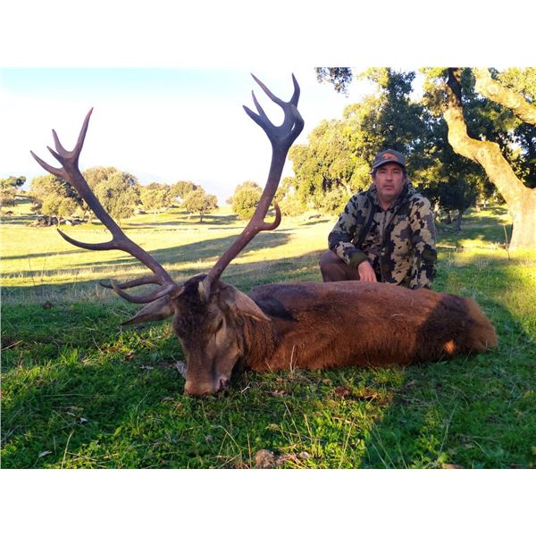 Gold Medal Red Stag for 1 Hunter in Spain -Spanish Ibex Hunts