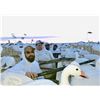 Image 1 : Colorado Snow Goose hunt for 4 Hunters - Webbed Feet Down Outfitters