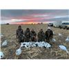 Image 2 : Colorado Snow Goose hunt for 4 Hunters - Webbed Feet Down Outfitters