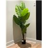 Image 1 : PLANTE ARTIFICIELLE