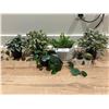 Image 1 : LOT DE MINI PLANTES ARTIFICIELLE