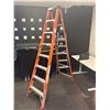 Image 1 : ESCABEAU EN FIBRE 8' INDUSTRIAL LITE