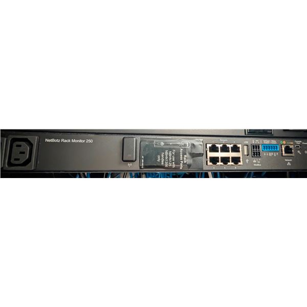 APC NetBotz Rack Monitor 250