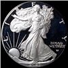 Image 1 : NICELY CIRCULATED 2023-W Silver American Eagle 1 oz