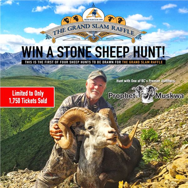 Win a Stone Sheep Hunt