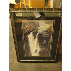 careful Approached Print