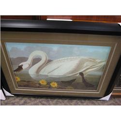 Framed Goose Print