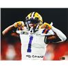 Image 1 : JAMARR CHACE SIGNED LSU TIGERS 8X10 PHOTO PIA HOLO