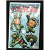 Image 1 : EASTMAN AND LAIRD'S TEENAGE MUTANT NINJA TURTLES BOOK 25