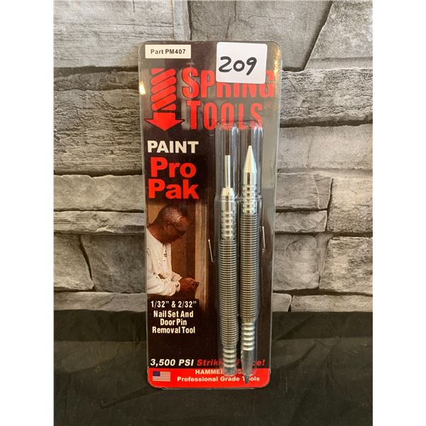 Spring Tools Paint Pro Nail Set And Door Pin Removal Kit