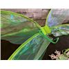 Image 3 : Fairy Wings Costume Kit Green Clear