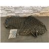 Image 1 : Rear Car Cargo Net 35" x 12"