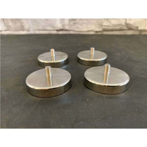 Flutesan Neodymium Magnets - Pack of 4
