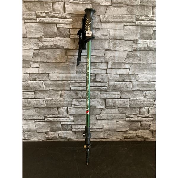 Chinook Backcountry 3 Flip Lock Hiking Pole