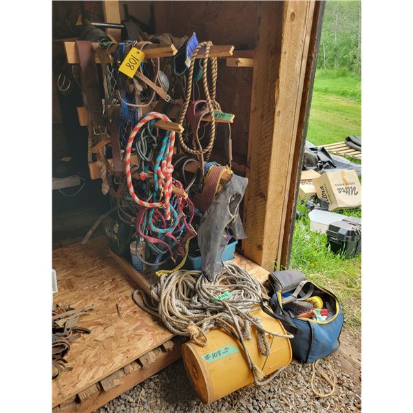 Qty of halters, cinshes, ropes, portable saddle stand