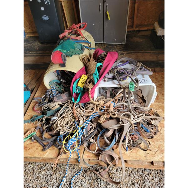 Qty of halters, hobbles, lead shanks, splint boots