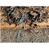 Image 2 : Qty of halters, hobbles, lead shanks, splint boots