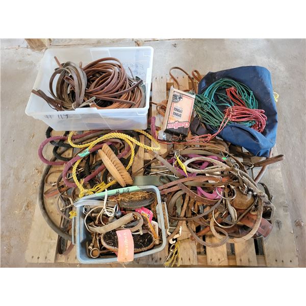 Misc. bridles, reins