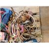 Image 3 : Misc. bridles, reins