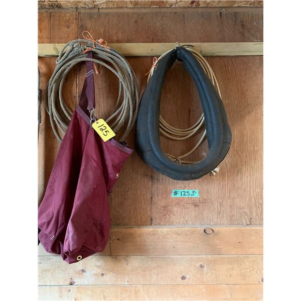 Lariats, horse collar, feed bag