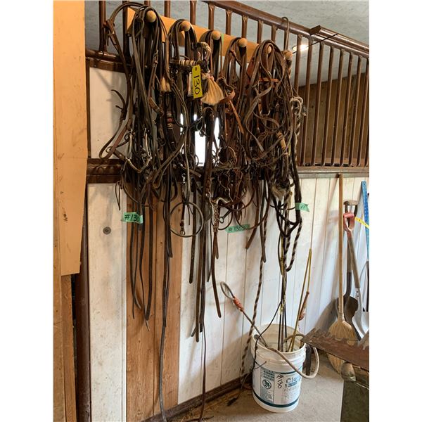 Qty of headstalls, bridles, bosal with bridle rack