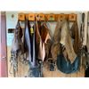 Image 2 : Qty of chaps, chinks, batwing, bridle rack