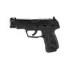 Image 1 : RUGER MAX-9 9MM 4" 12RD TS BLK