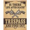 Image 1 : Life After Death?