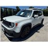 Image 1 : JEEP RENEGADE 2017 T-SMOG -2 DAYS