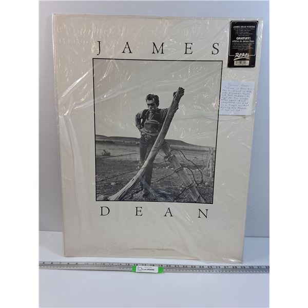 James Dean Print Picture - 22" x 28"