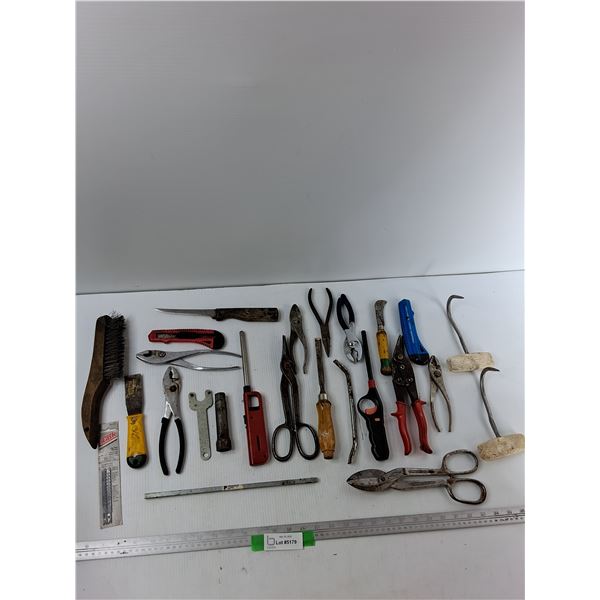 Assorted Tools - Wire Brush, Pliers, Chisel, Misc